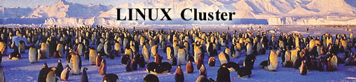 Linux cluster